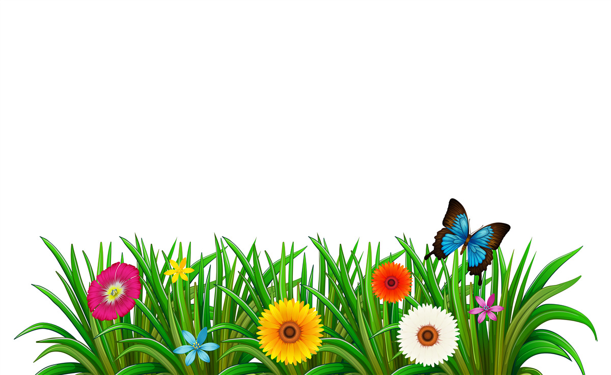 Fototapeta motýľ sedí na tráve s gerberami