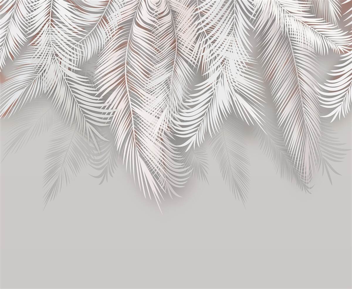 Fototapeta svetlosivé palmové listy