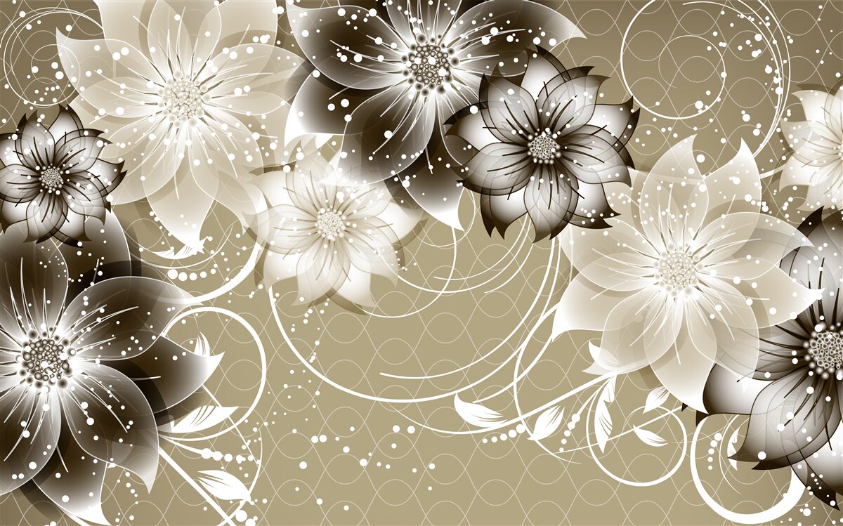 Fototapeta kvety ľalie kvitnúce na vode v noci