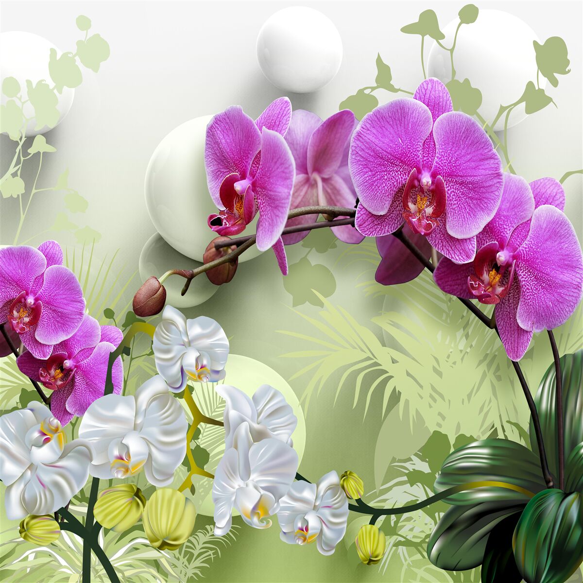 Fototapeta fialová orchidea na konároch