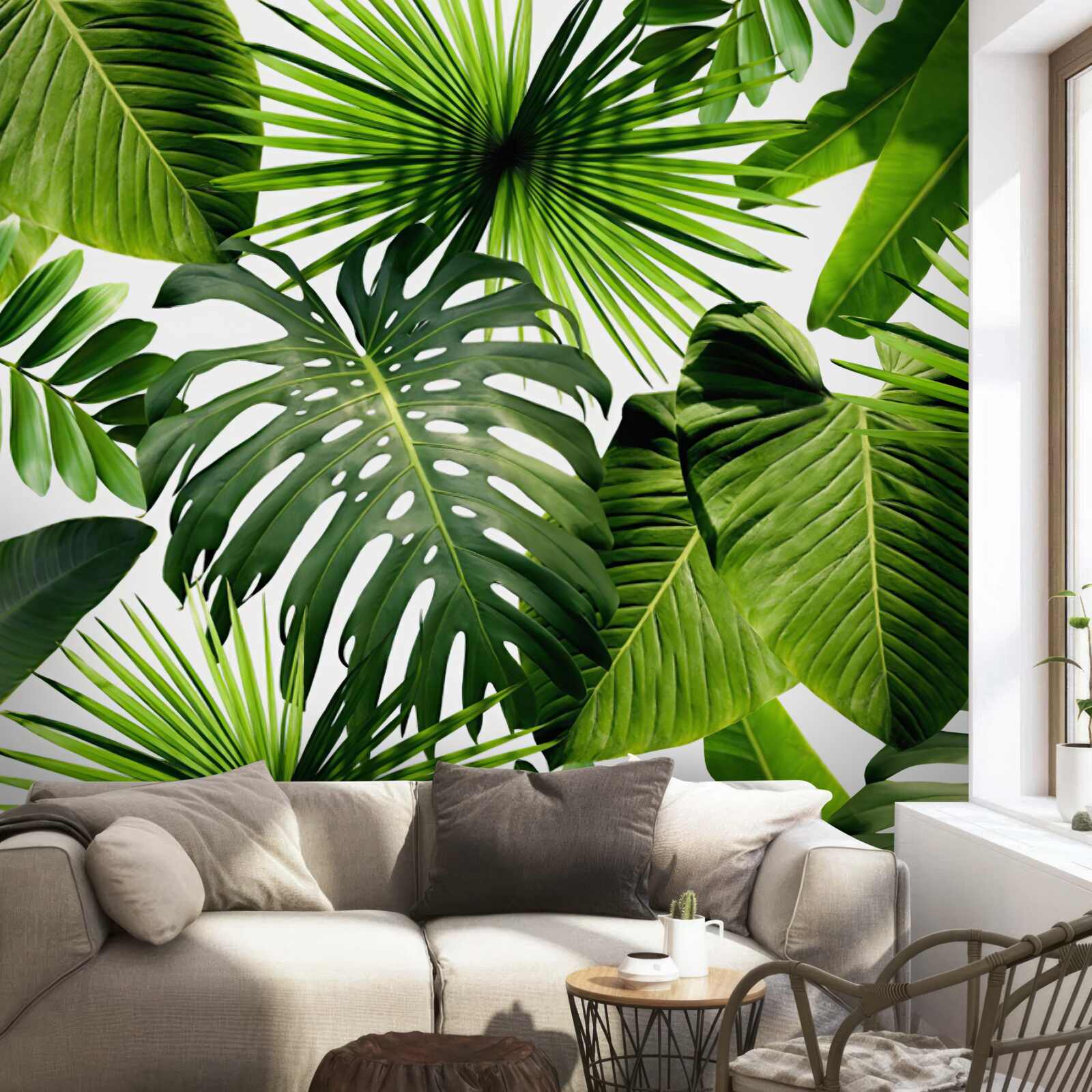 Fototapeta veľké zelené listy tropických rastlín