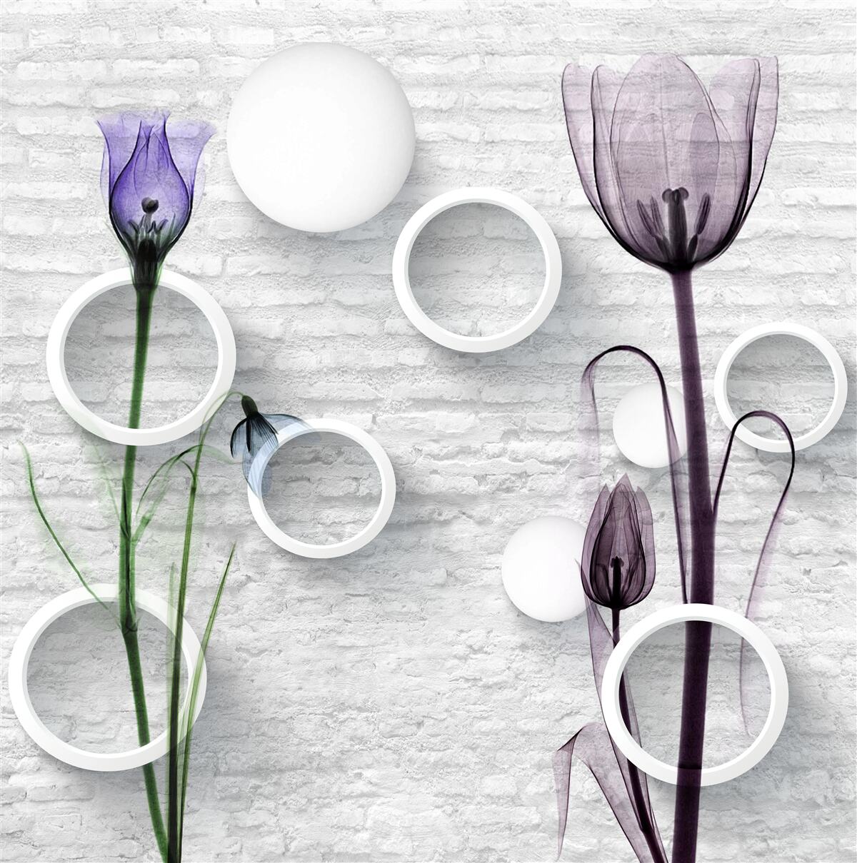 Fototapeta rafinované púčiky na vetvách a kruhoch s prísnymi tvarmi