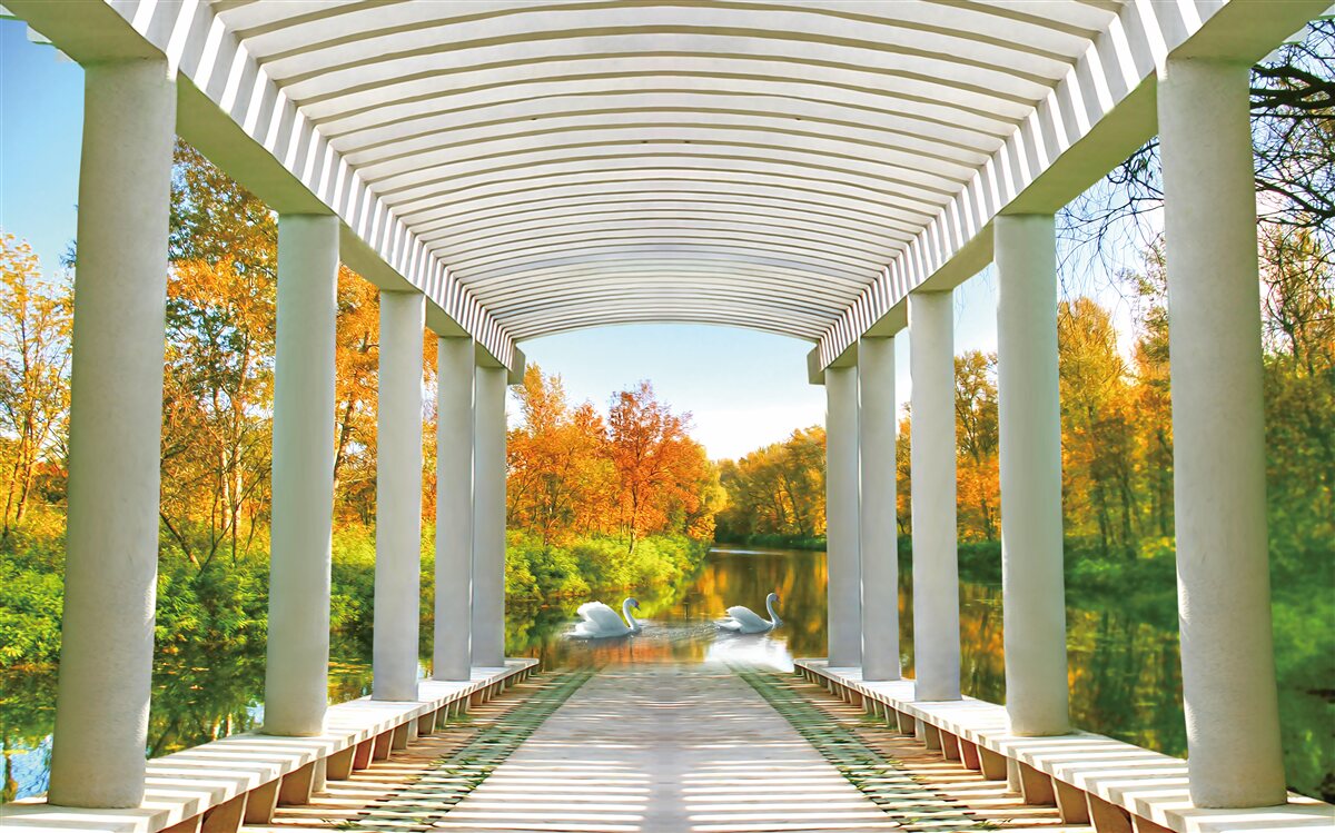 Fototapeta les v jesennej výzdobe na panoramatickom pozadí