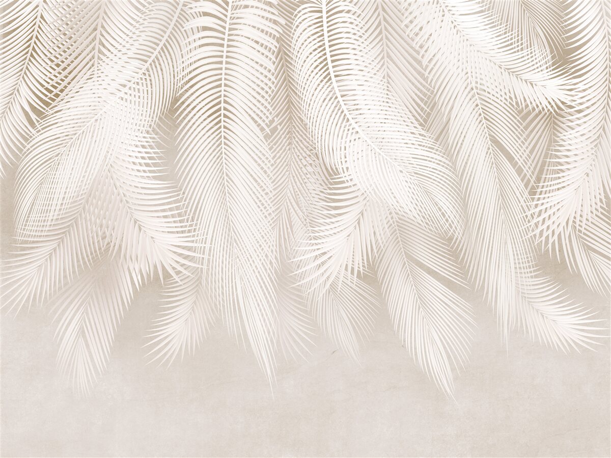 Fototapeta svetlé paprade na zadí svetlých odtieňov