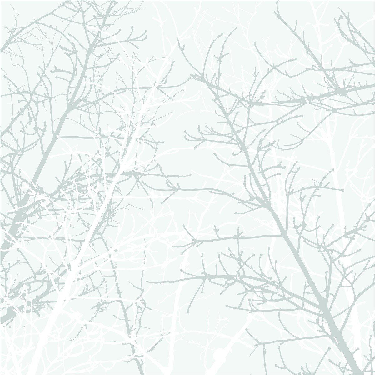 Fototapeta tenké konáre stromov na jeseň