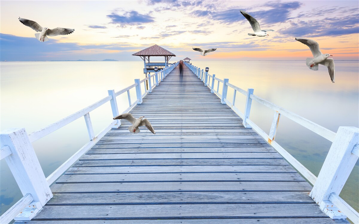 Fototapeta drevené molo a lietajúce čajky