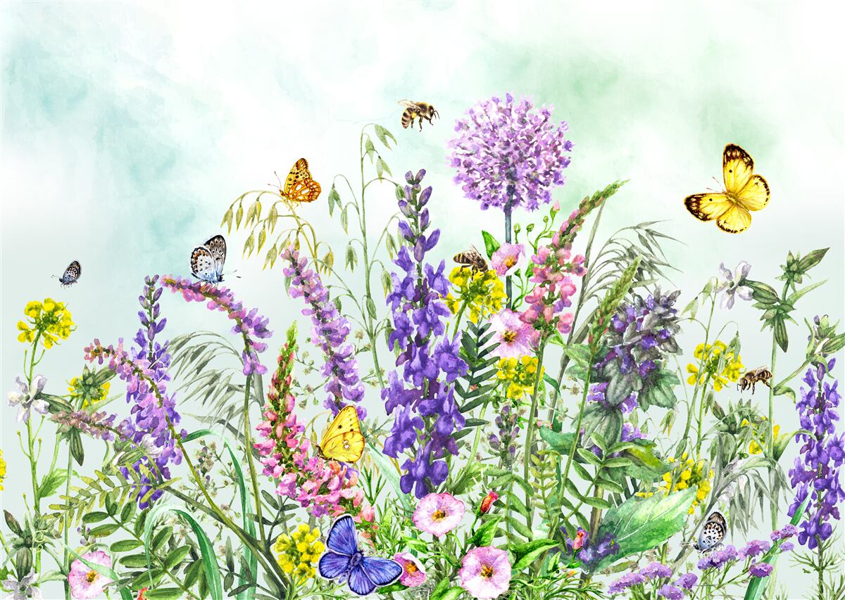 Fototapeta lúčne rastliny v lete pod jasou oblohou