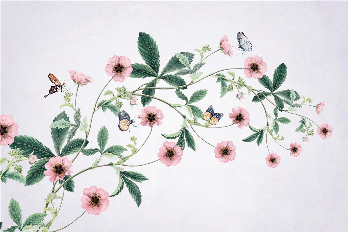 Fototapeta ružové púčiky na konároch na sivom podklade