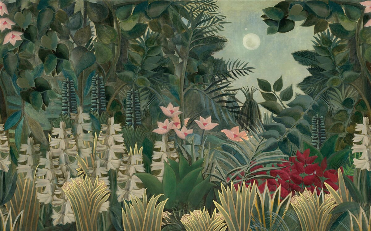 Fototapeta mesačné prázdniny na nočnej oblohe nad zelenými tropickými lesmi