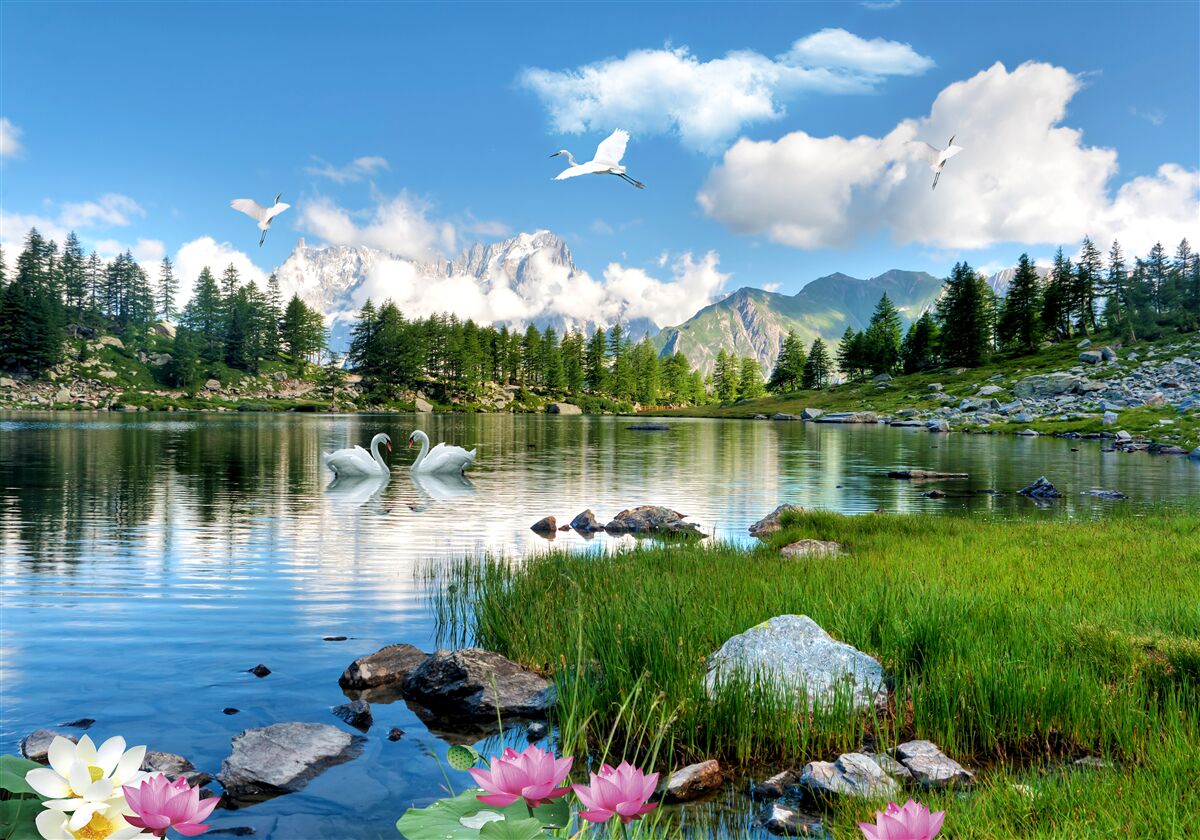 Fototapeta letný deň pokojné jazerá v horách