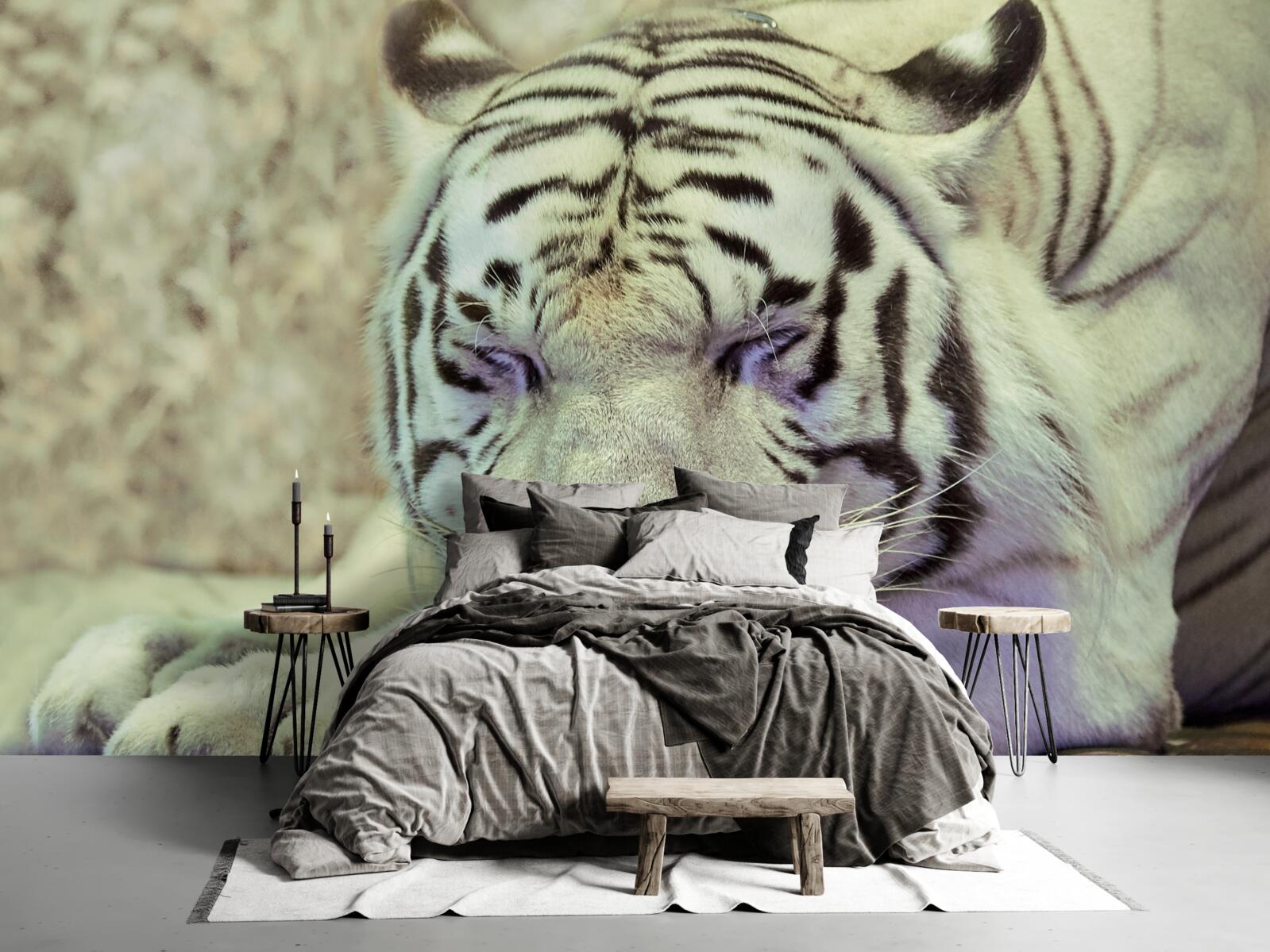 Fototapeta biely tiger v stave snov