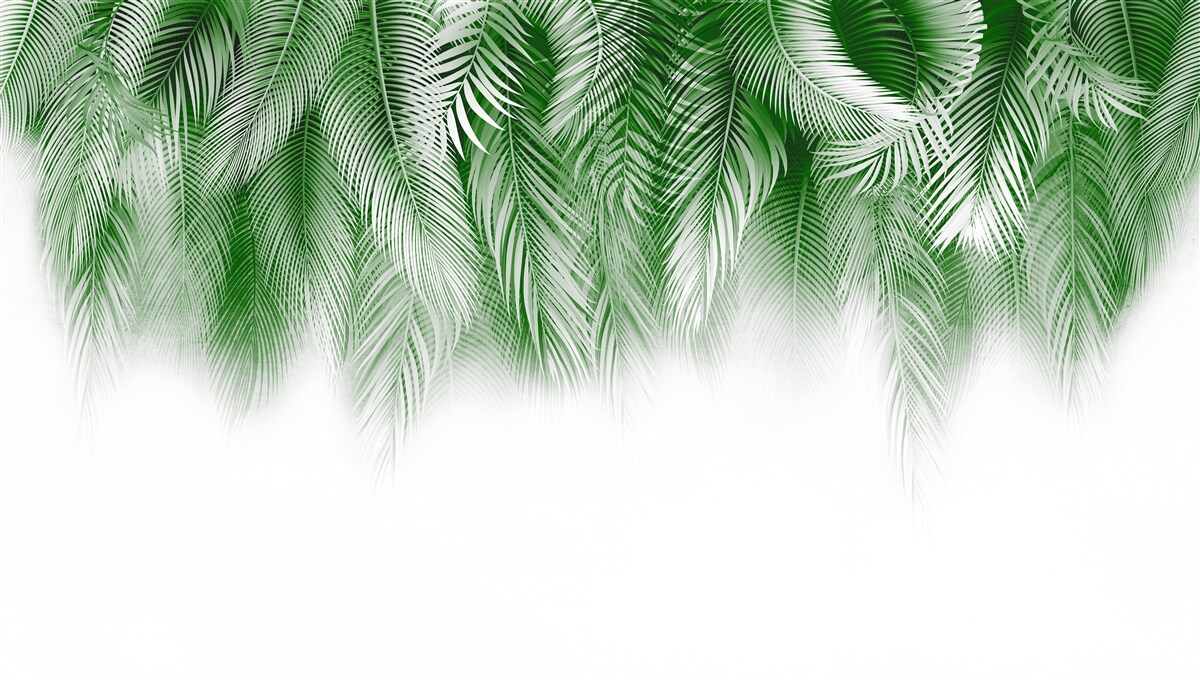 Fototapeta svetlozelené listy paprade