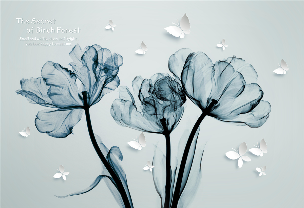 Fototapeta jemné maky a svetlé motýle