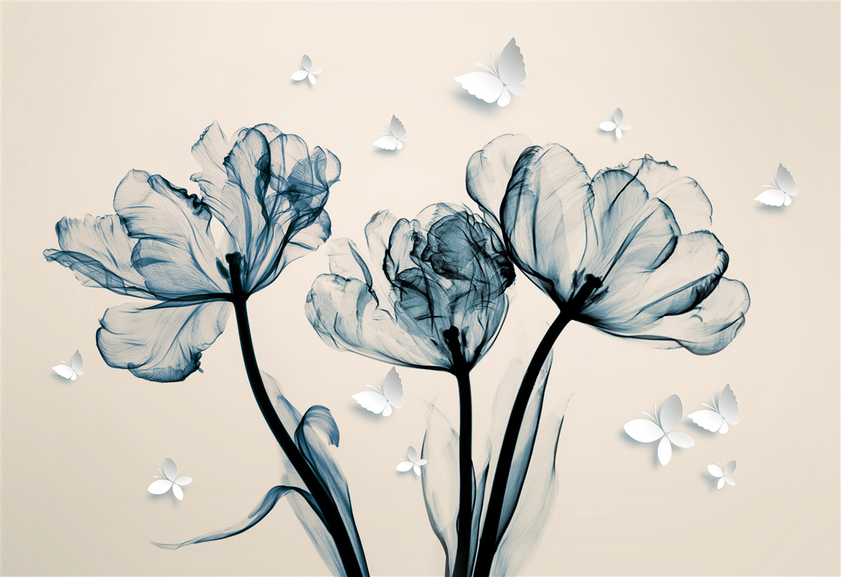 Fototapeta nad rastlinkami lietajú ľahké mory