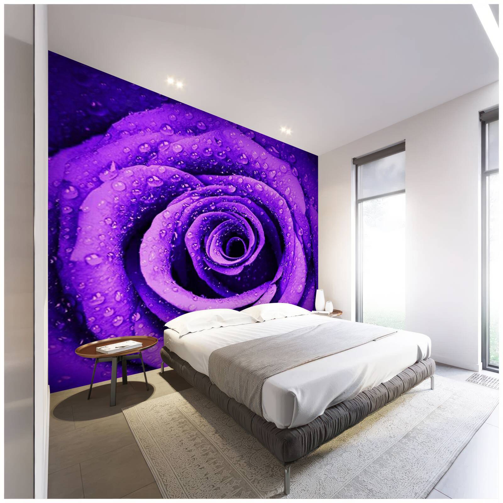 Fototapeta blízky pohľad na fialovú ružu pokrytý kvapkami dažďa