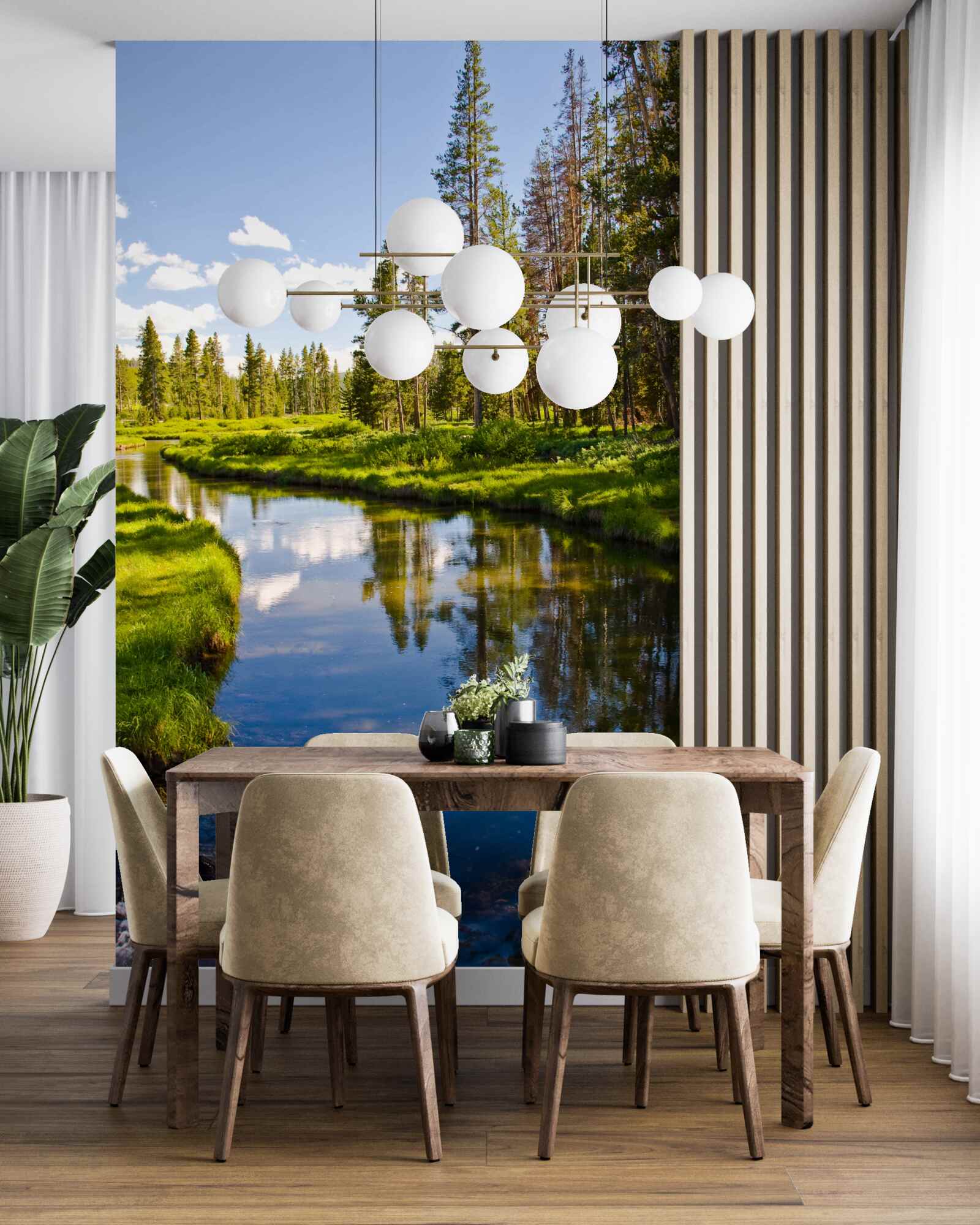 Fototapeta lesný potok medzi ihličnanmi v lete