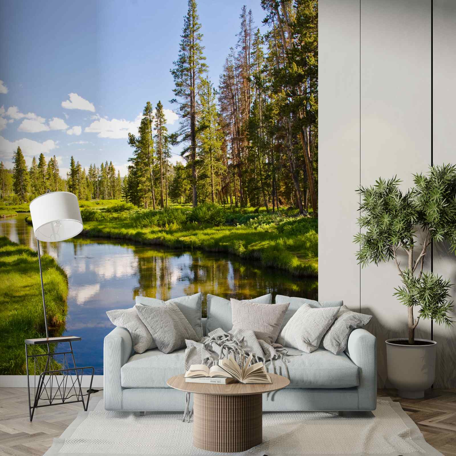 Fototapeta lesný potok medzi ihličnanmi v lete