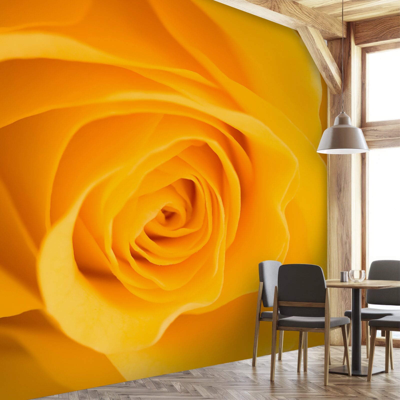 Fototapeta svieži žltý kvet ruže