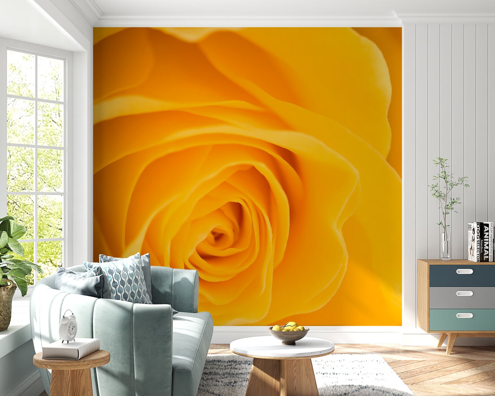 Fototapeta svieži žltý kvet ruže