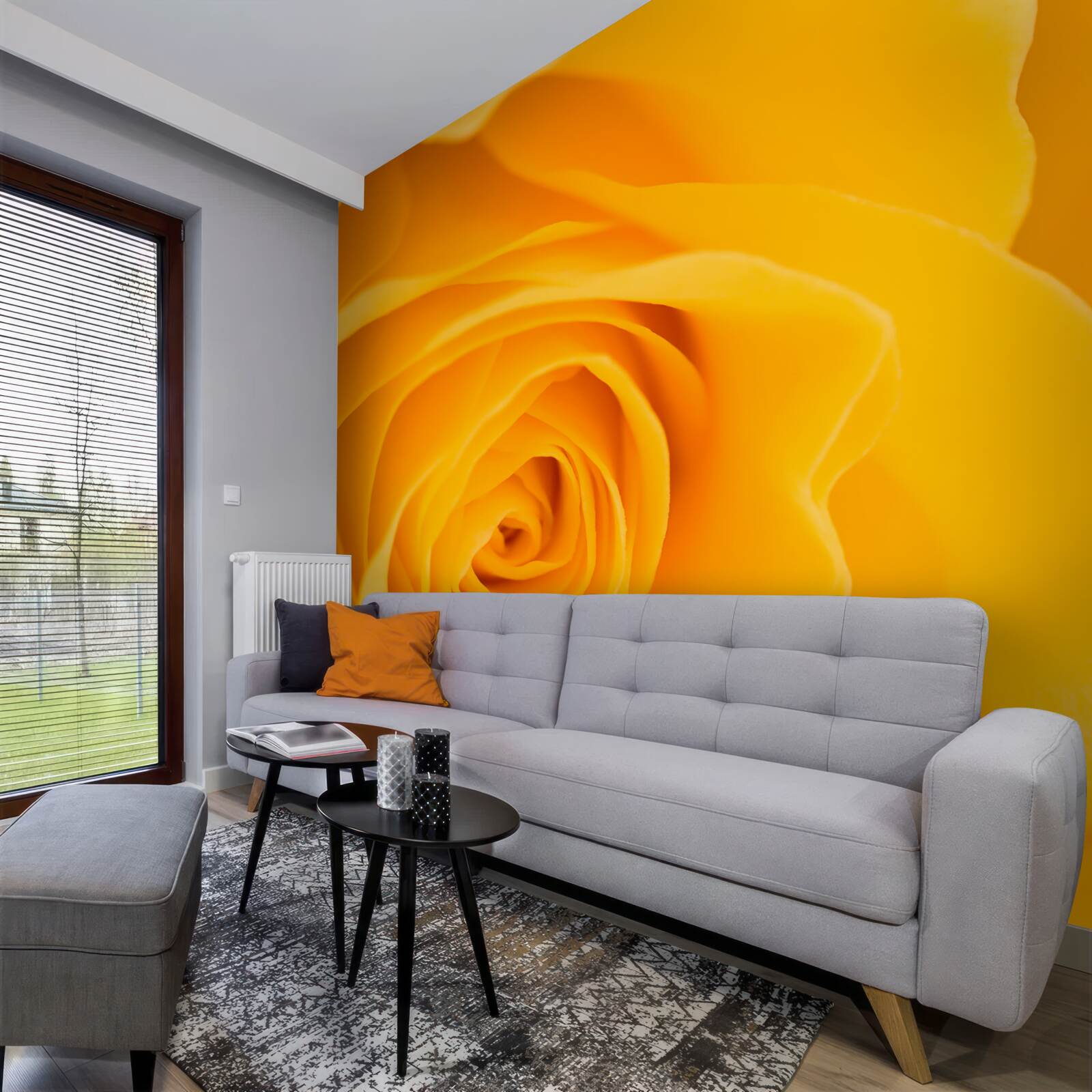 Fototapeta svieži žltý kvet ruže