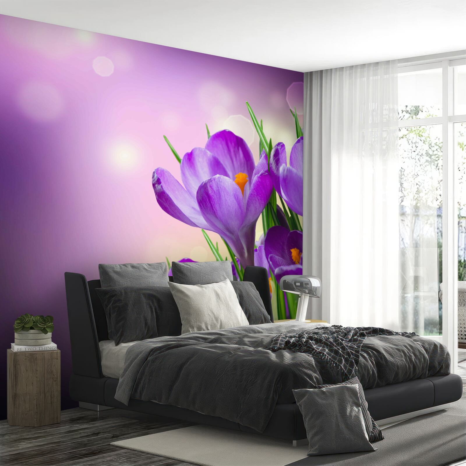 Fototapeta na úsvite kvitnú kosatka v jemnom fialovom odtieni