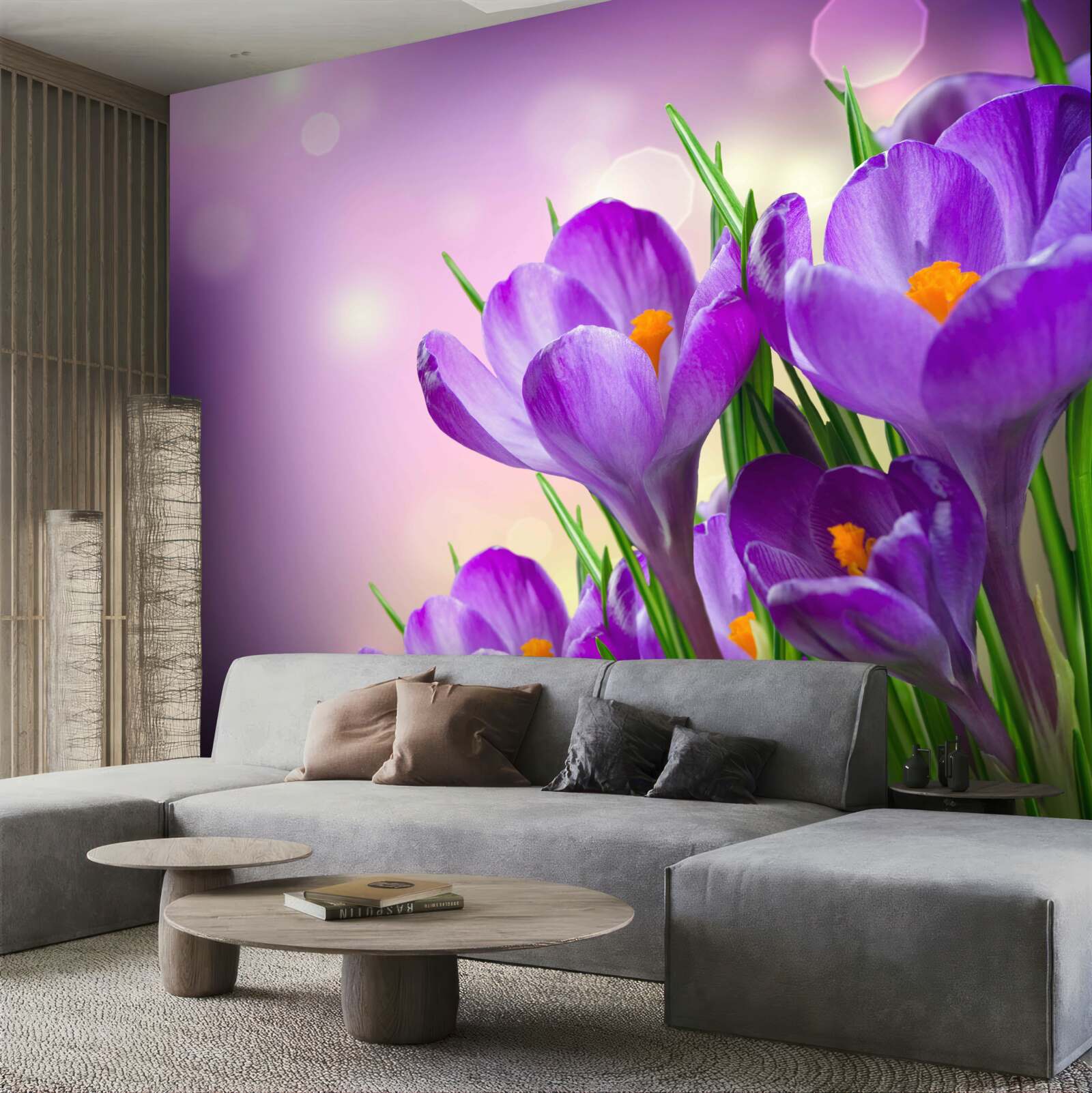 Fototapeta na úsvite kvitnú kosatka v jemnom fialovom odtieni