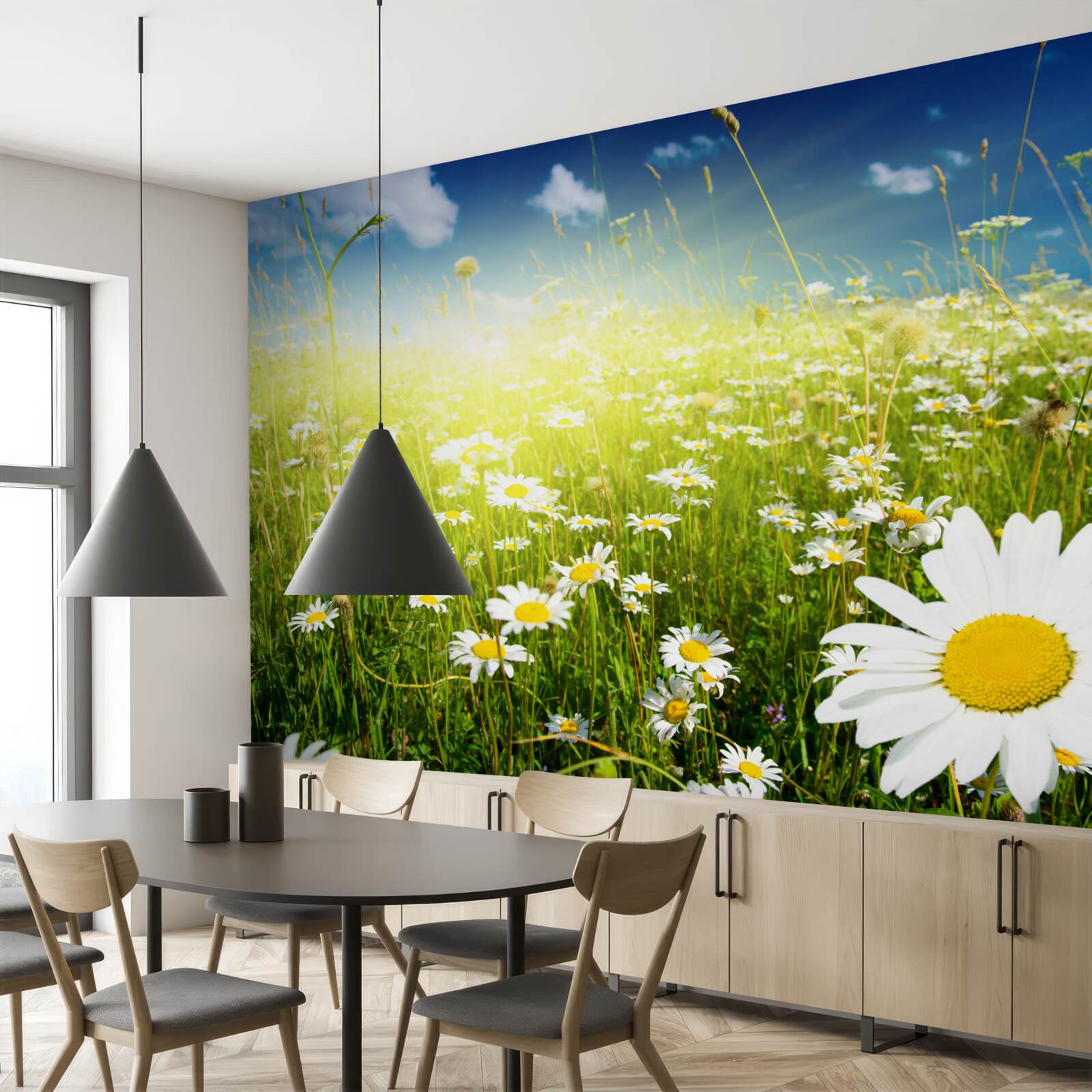 Fototapeta lúka pokrytá sedmokráskami po úsvitu