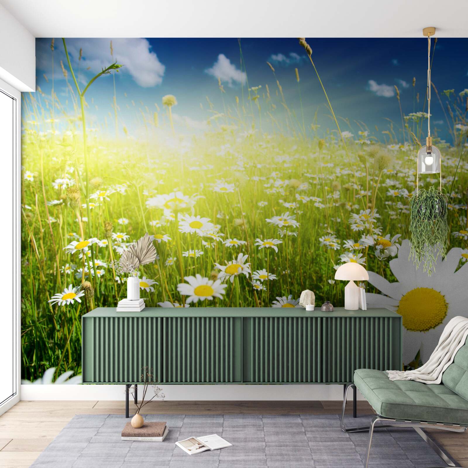 Fototapeta lúka pokrytá sedmokráskami po úsvitu