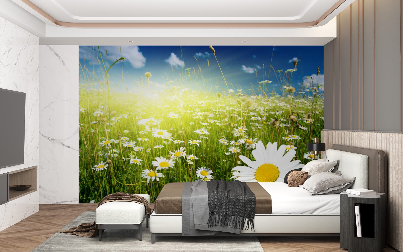 Fototapeta lúka pokrytá sedmokráskami po úsvitu