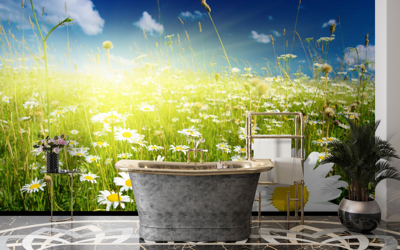 Fototapeta lúka pokrytá sedmokráskami po úsvitu