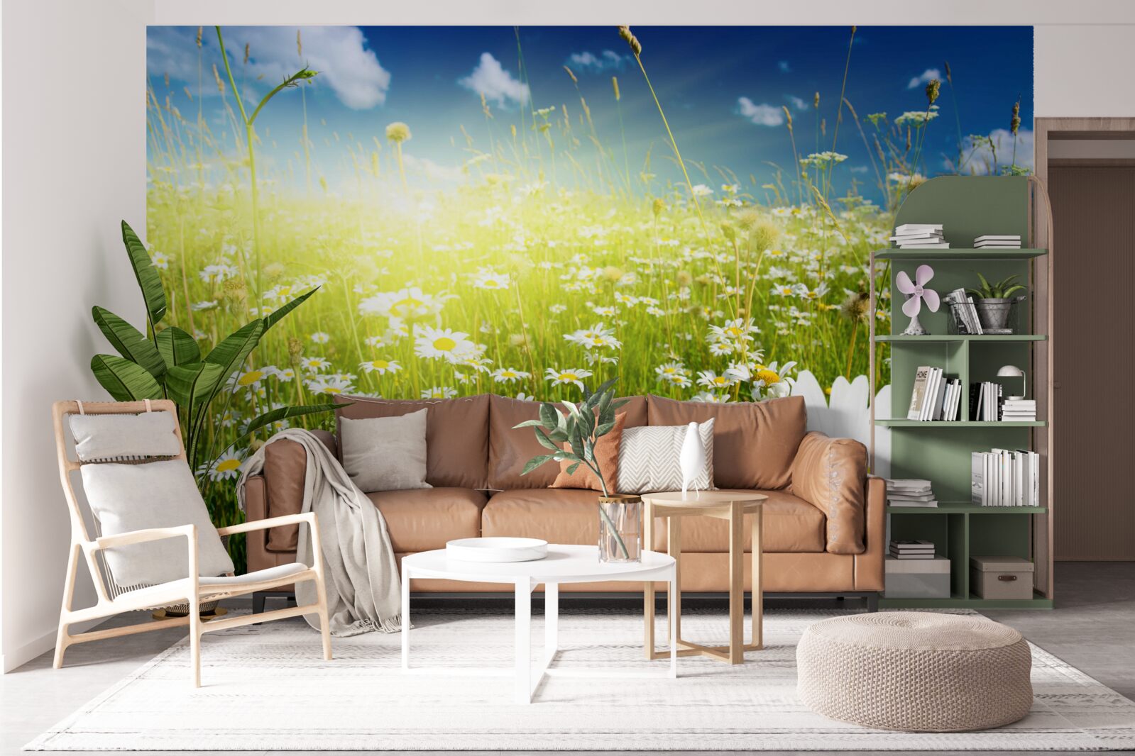 Fototapeta lúka pokrytá sedmokráskami po úsvitu