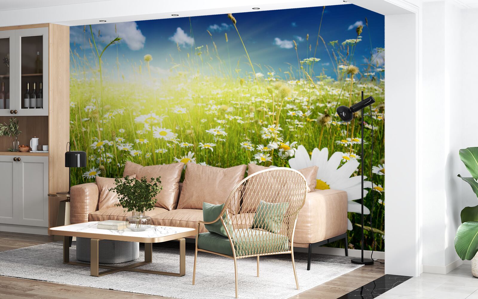 Fototapeta lúka pokrytá sedmokráskami po úsvitu