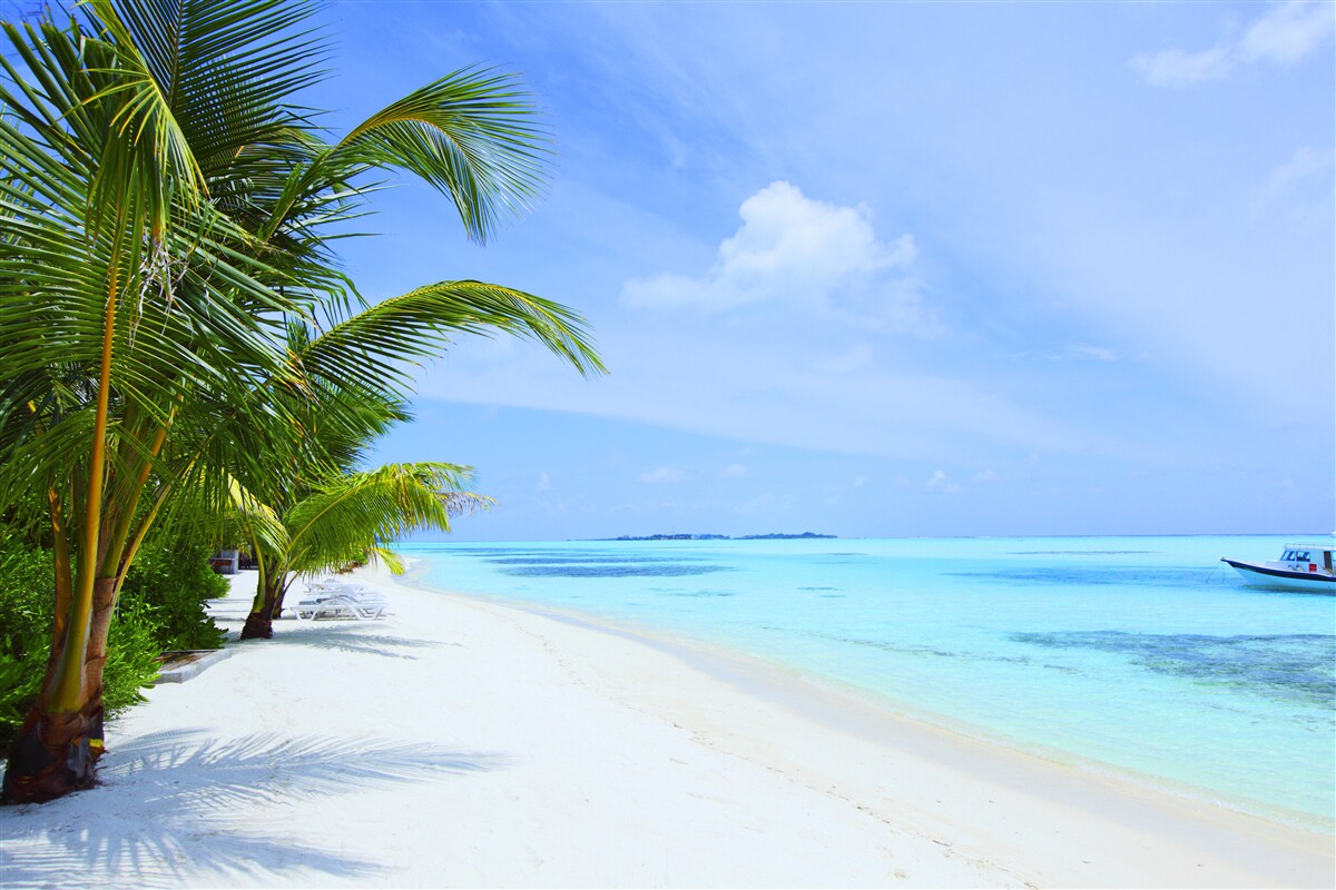 Fototapeta tyrkysové vody pri tropickom pobreží