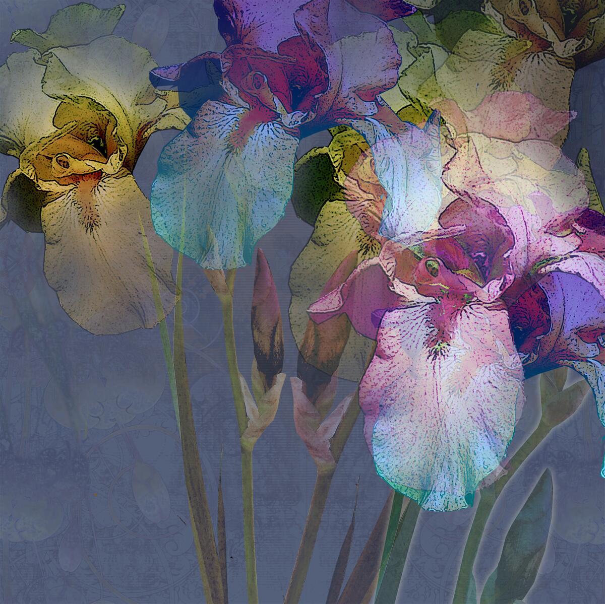 Fototapeta nočnú atmosféru napĺňajú tropické listy