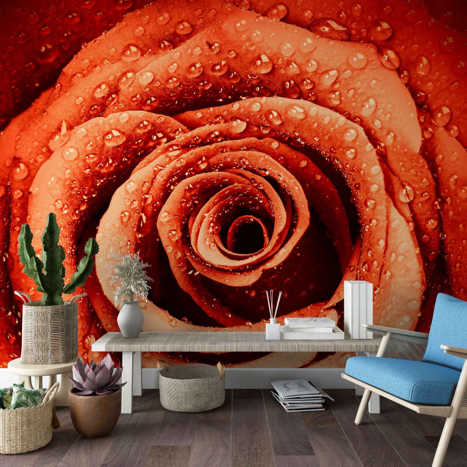 Fototapeta kvapky rosy na šarlátovom lupene ruže