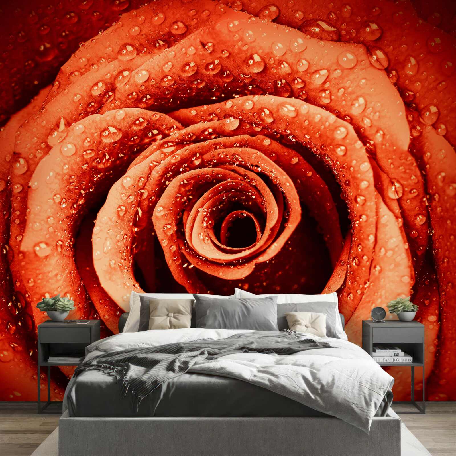 Fototapeta kvapky rosy na šarlátovom lupene ruže