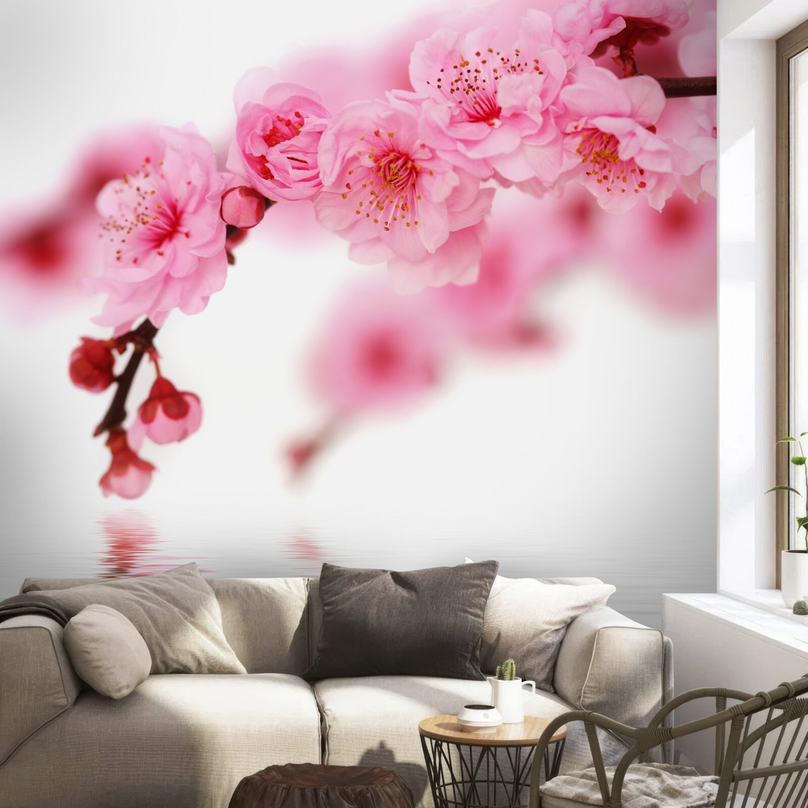 Fototapeta pri vode leží ružová vetva sakury