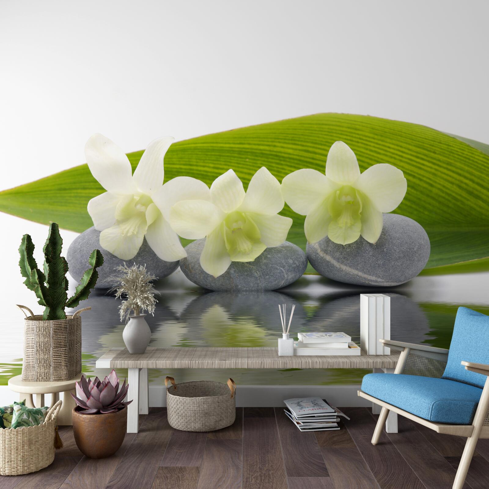 Fototapeta čiara na vodnej hladine