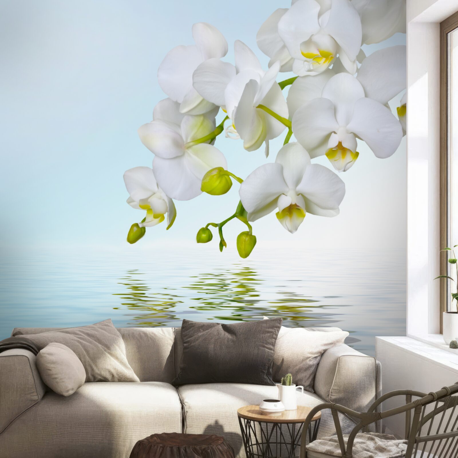 Fototapeta vetva bielej orchidey v blízkosti pokojnej vody