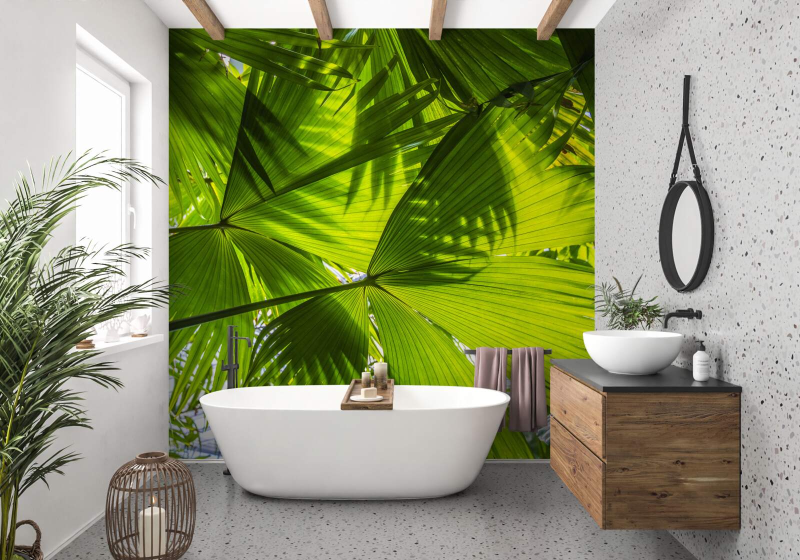 Fototapeta sú pokryté listami papradi