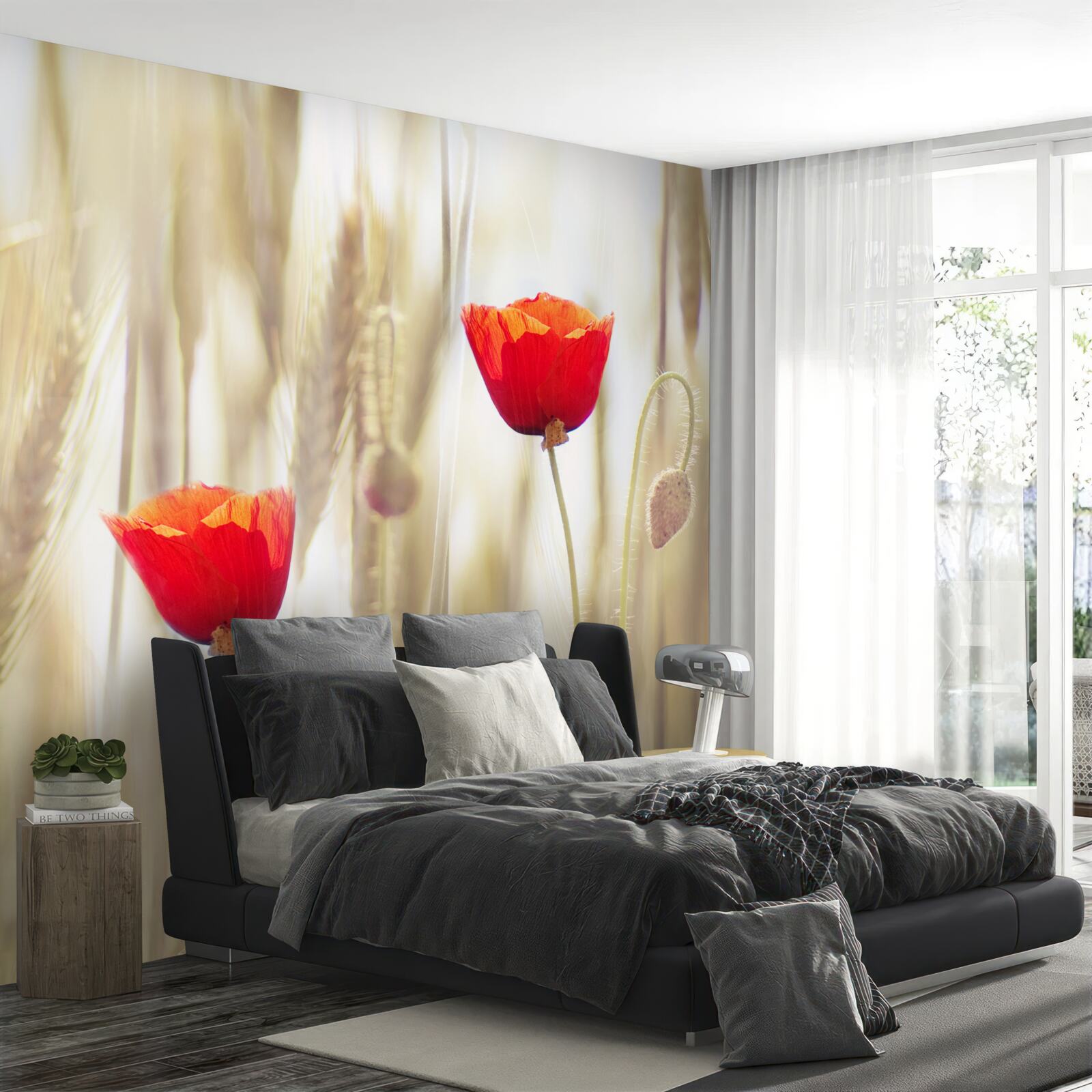 Fototapeta na pšeničnom poli rastú šarlátové maky