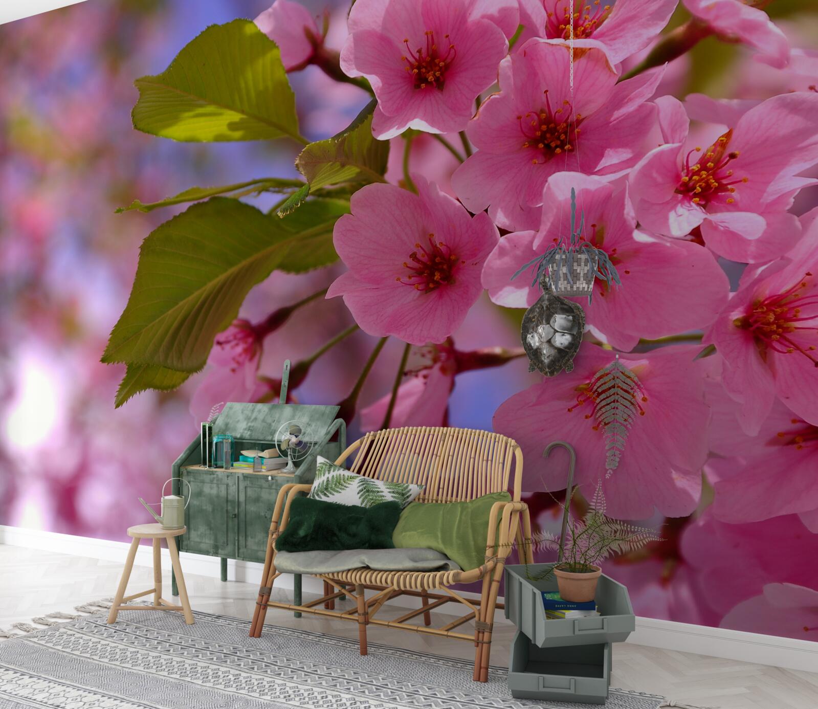 Fototapeta Na rokline kvitnú sakury Veľké puky