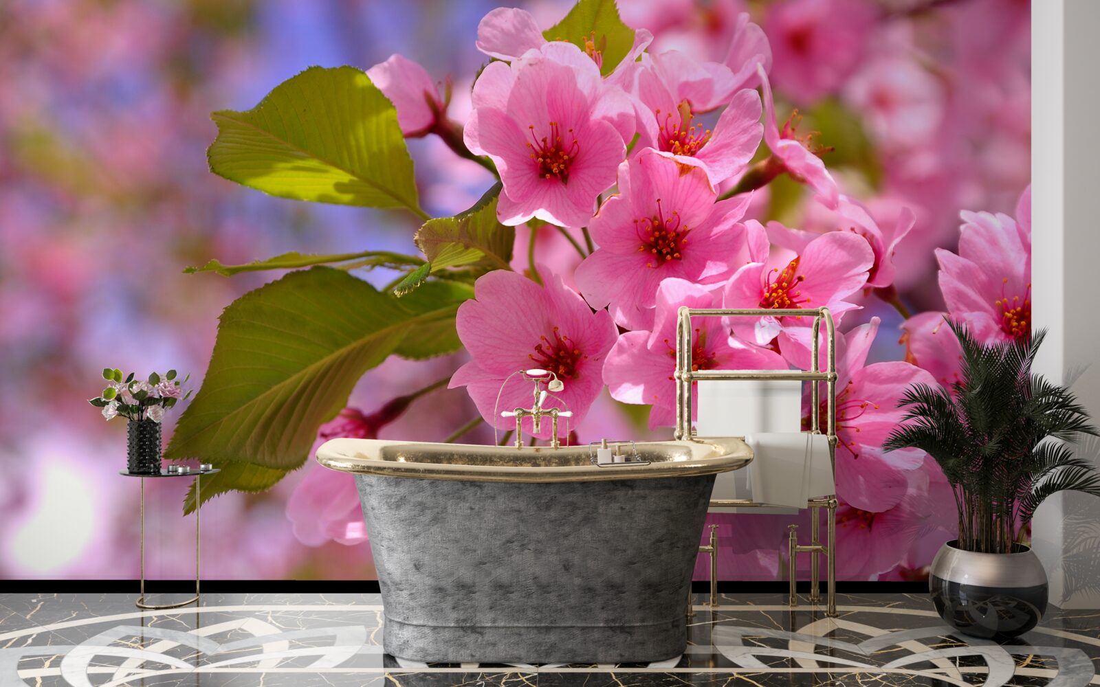 Fototapeta Na rokline kvitnú sakury Veľké puky