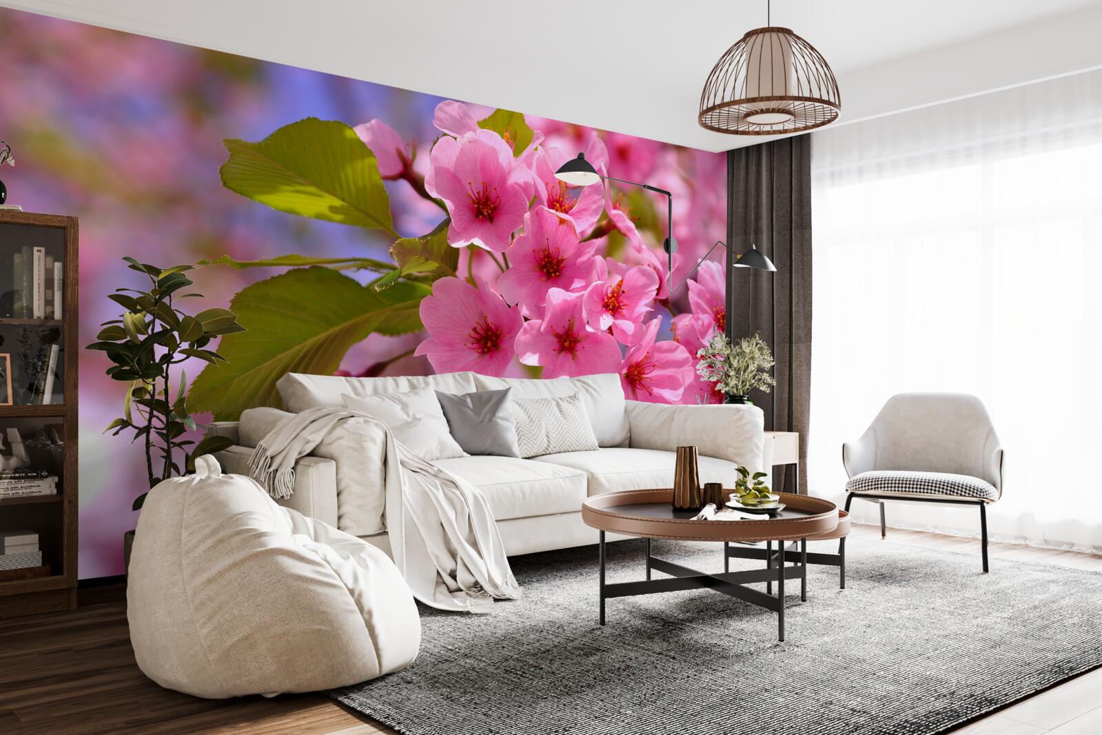 Fototapeta Na rokline kvitnú sakury Veľké puky