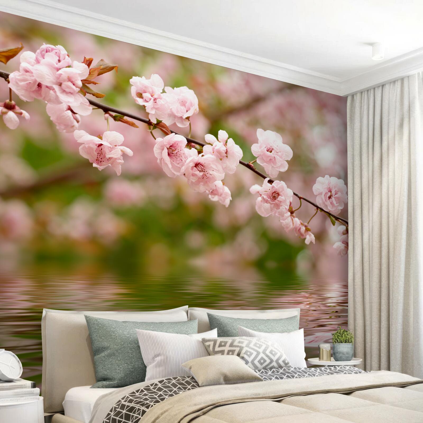 Fototapeta vetva s kvetmi na vodnej hladine