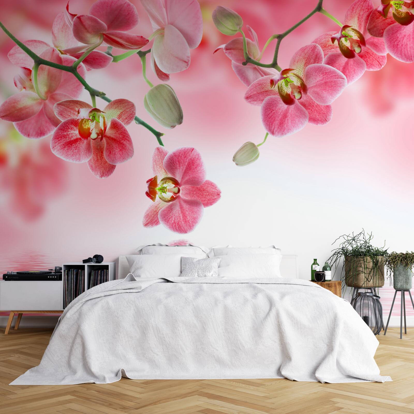 Fototapeta červená orchidea na strmom visí nad Vodou