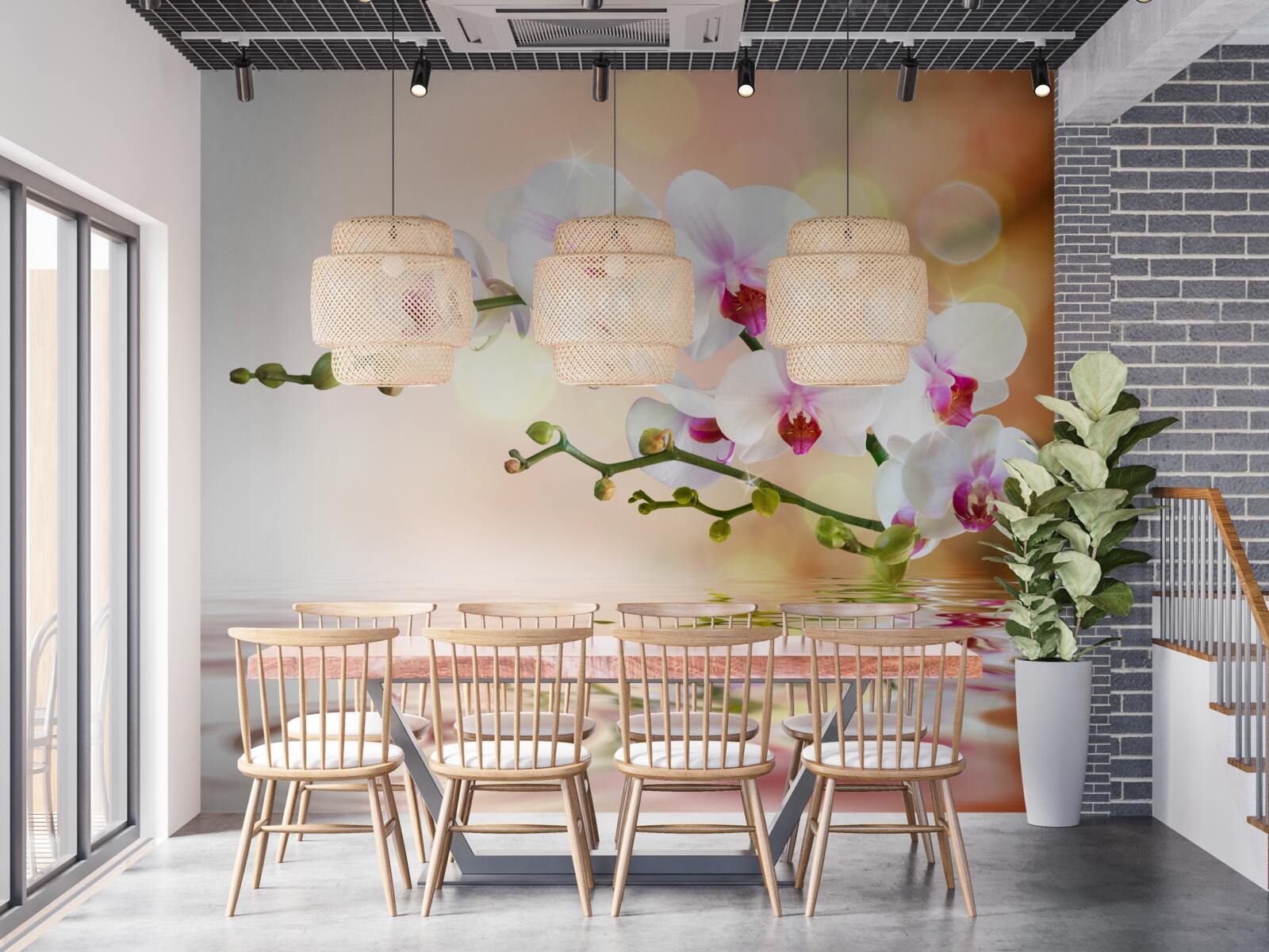 Fototapeta vetva bielej orchidey odrážajúca sa vode