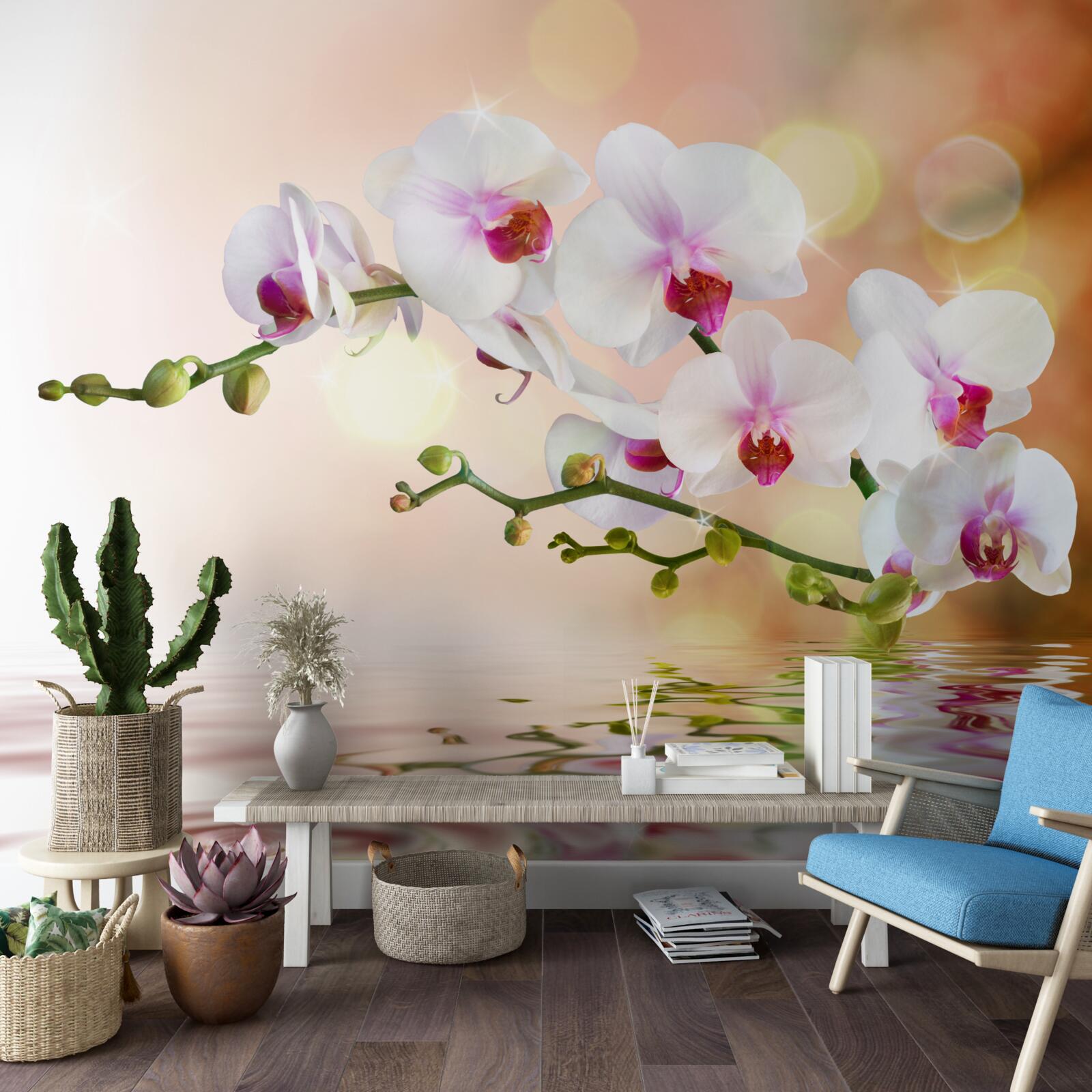 Fototapeta vetva bielej orchidey odrážajúca sa vode