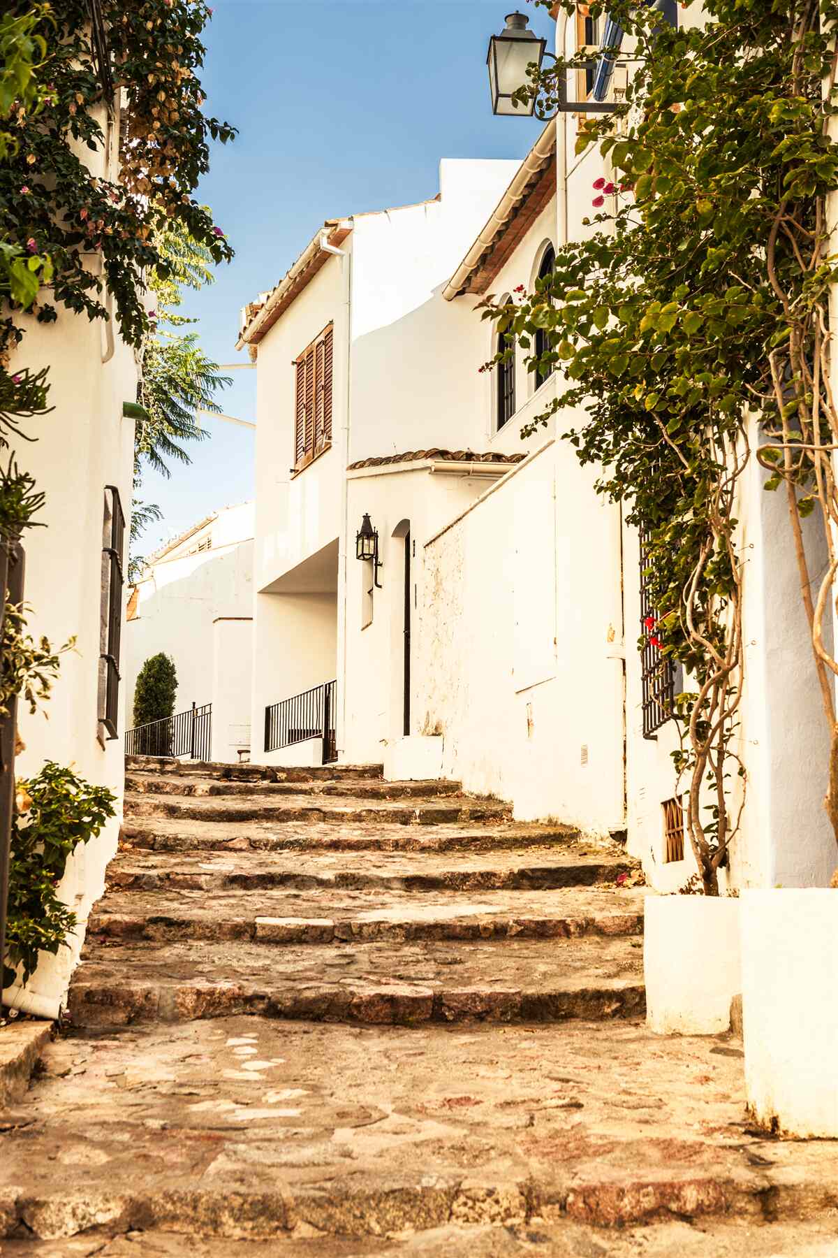 Fototapeta zeleň na starej ulici v Grécku