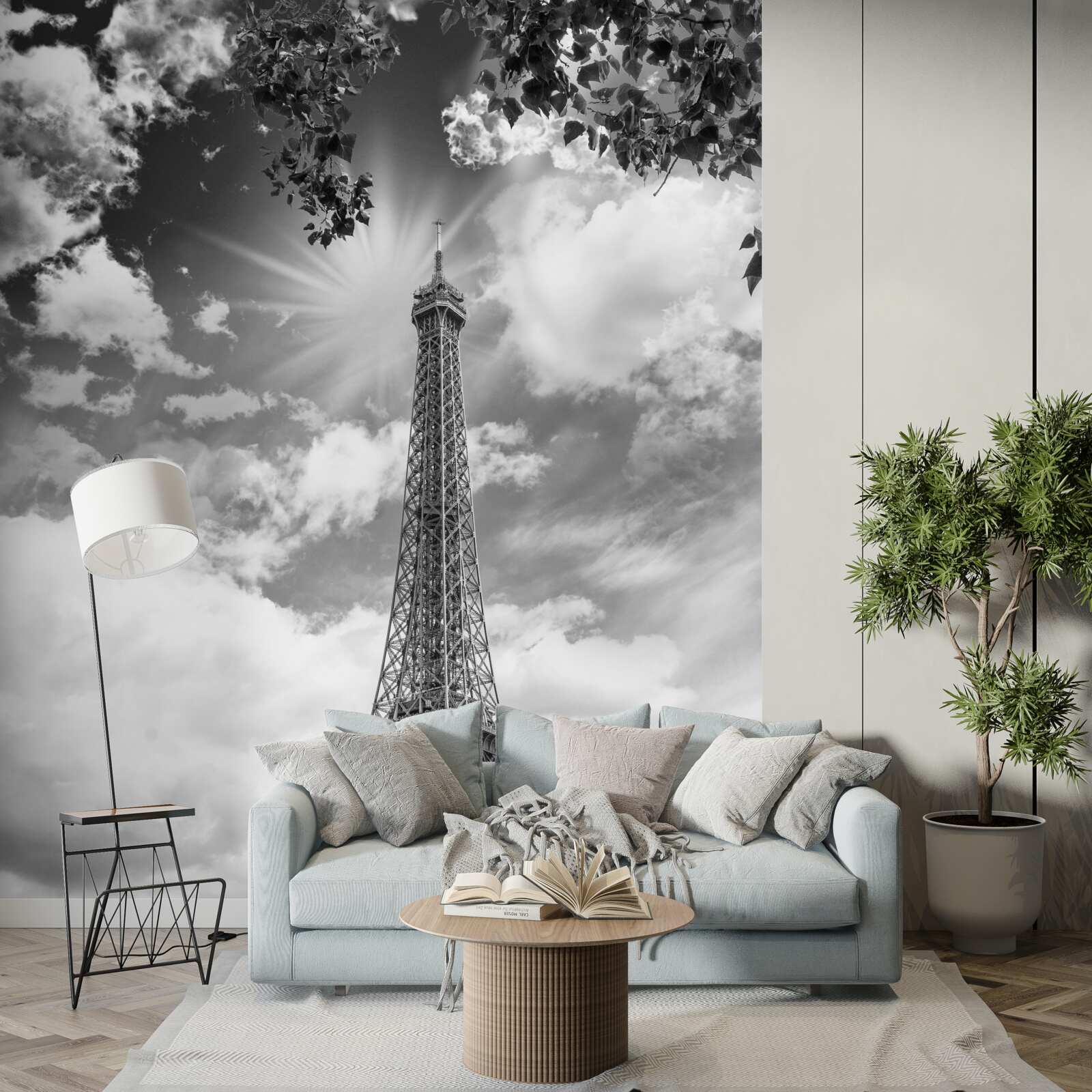 Fototapeta Eiffelova veža v čiernej a belšia na soli
